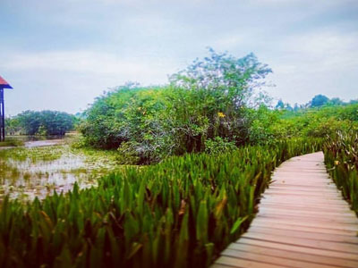 Beddagana Wetland Park