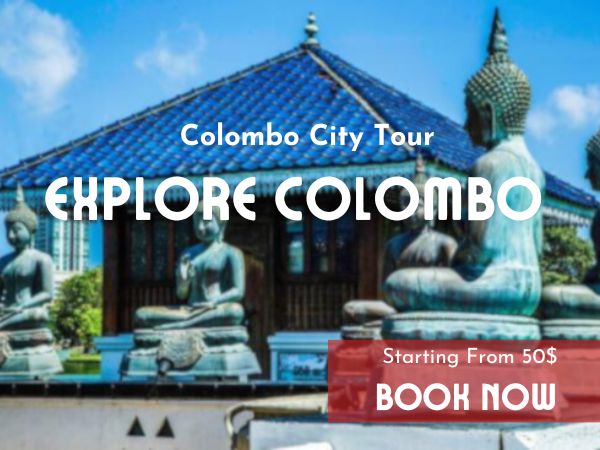 Colombo Day Tour
