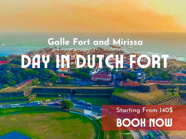 Galle Day Tour
