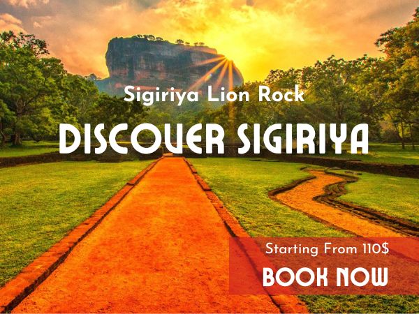 Sigiriya Day Tour