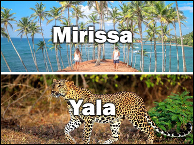 Yala to  Mirissa or Mirissa to Yala trnasfer