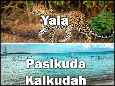 Pasikuda, Kalkudah to Yala or Yala to Pasikuda, Kalkudah trnasfer